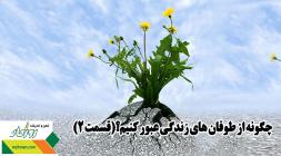 چگونه از طوفان های زندگی عبور کنیم؟(قسمت 2)